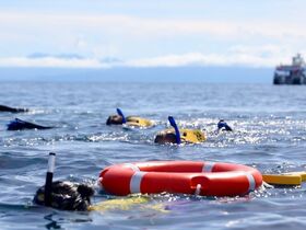 ツアースケジュール1