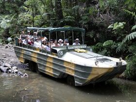 水陸両用車で熱帯雨林を探検