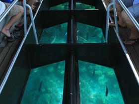 底がガラス張りになっているグラスボトムボート