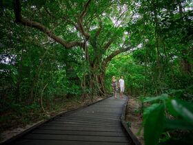 散策が楽しくなる木陰の遊歩道