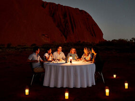 【1日目または2日目に追加】BBQディナー&星空観察(日本語)