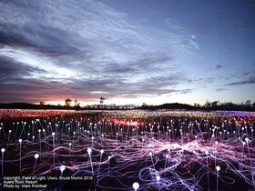 【1日目または2日目に追加】フィールド・オブ・ライト・パス(送迎付き入場チケット)