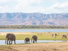 ボツワナのチョベ国立公園でサファリ体験！象などの大型動物に出会えるチャンス
