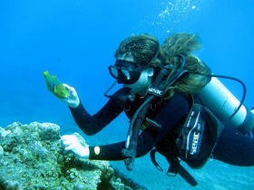 カラフルな熱帯魚や水没モアイなど、さまざまな景観が楽しめます