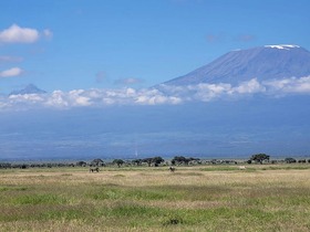 アンボセリ国立公園では、ゾウの大群やキリマンジャロを鑑賞。