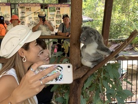 【入園券のみ】ハートリース動物園 ケアンズ送迎付き 半日ツアー コアラタッチ写真付きプランあり