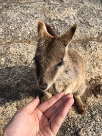 盛り沢山でした！