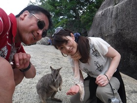 野生動物がたくさん見れて大満足！