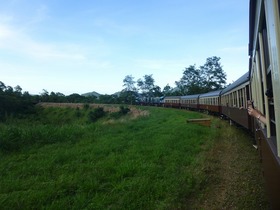 どきどきキュランダ1日ツアー