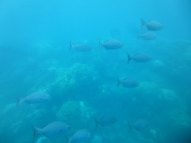 水族館のような景色