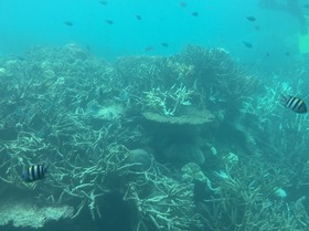 綺麗な海を満喫