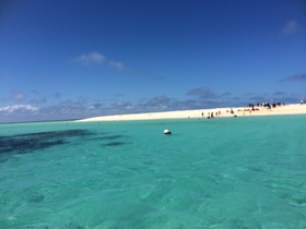 きれいな海でウミガメと泳げます＾＾