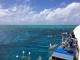 海尽くしの一日！