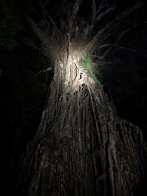 雨の日のツアー参加がオススメ