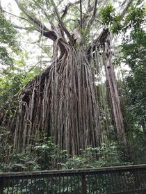 良い旅の思い出になりました