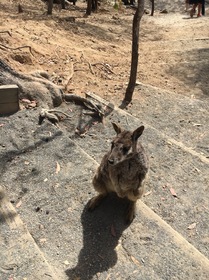 絶対参加するべきです！