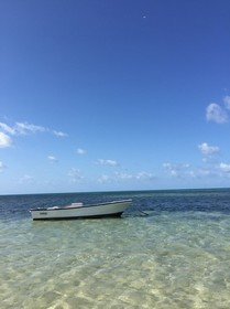 綺麗な海に癒されます