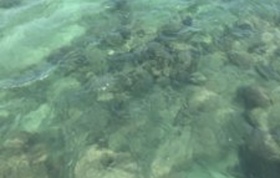 圧巻の海の綺麗さ！！