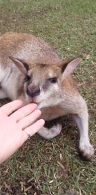 一日ツアーにして良かったです。