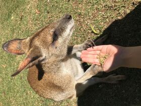 自然と動物、両方楽しめます！