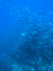 素晴らしい海・海・海！