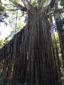 アサトーン高原とパロネラパークのツアーについて