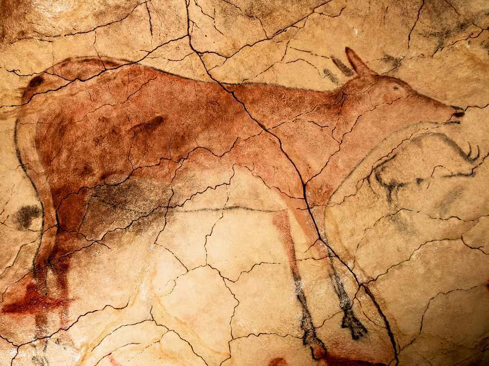 世界遺産 アルタミラ洞窟と北スペインの旧石器時代の洞窟画|ホットホリデー