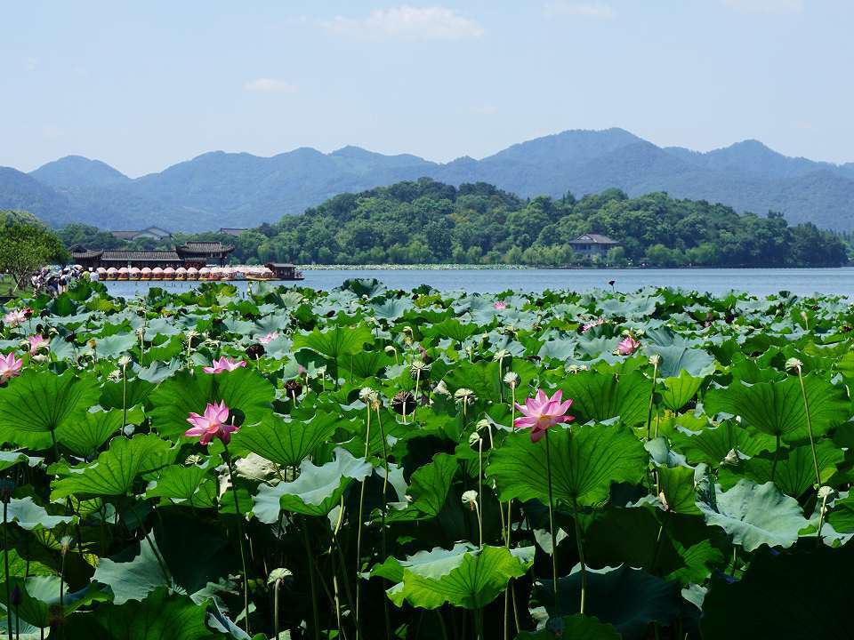 世界遺産 杭州西湖の文化的景観|ホットホリデー